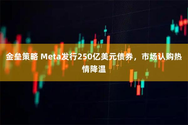 金垒策略 Meta发行250亿美元债券，市场认购热情降温